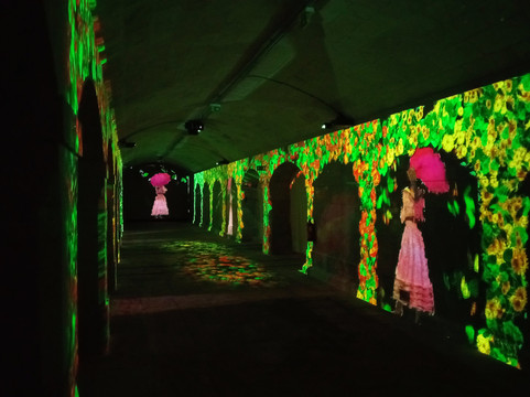 Immersivus Gallery-波尔图必去景点