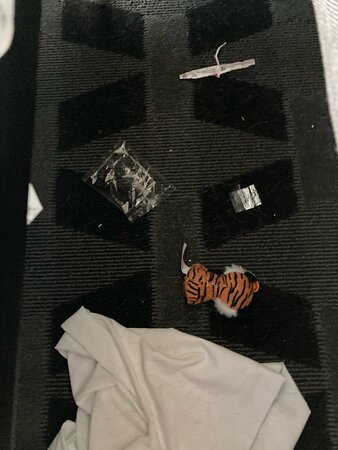 TownePlace Suites Louisville North主图