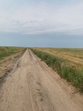 Sheep Mountain Table Road景点图片