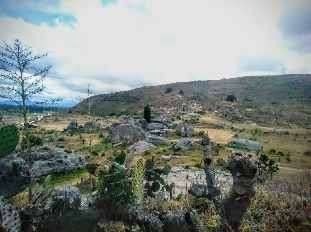 Piedras De Chivo Negro