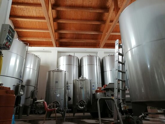 Azienda Vitivinicola PietraCava景点图片