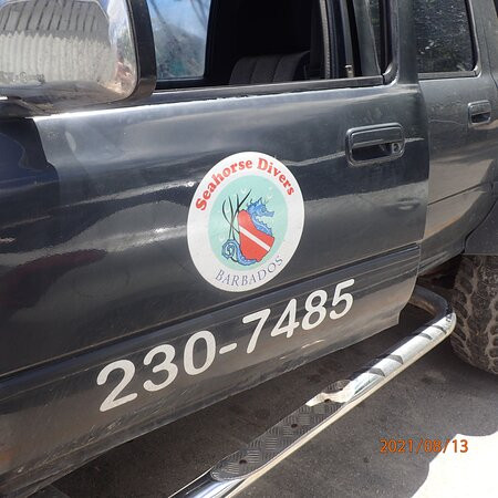 Seahorse Divers Barbados-奥伊斯廷斯必去景点