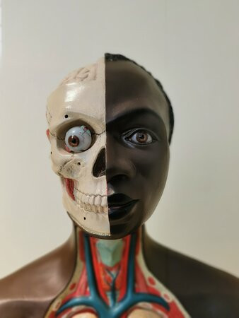 Deutsches Hygiene-Museum Dresden-德累斯顿必去景点