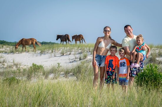Assateague Island Tours-Assateague Island必去景点