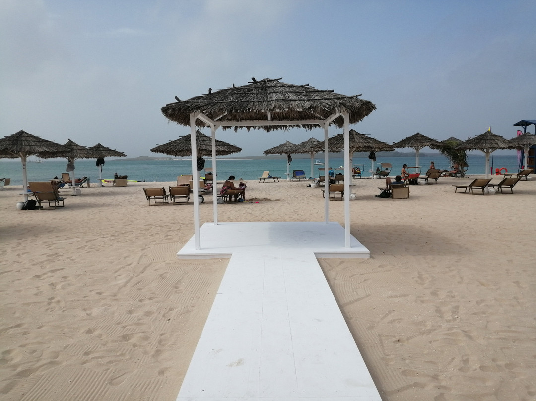 Beach House