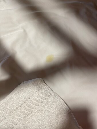 The Ashbury Resort主图