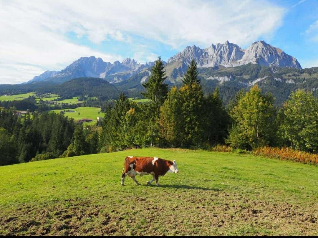 Buchberghof