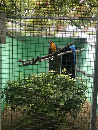 Dodo Wildlife Park景点图片