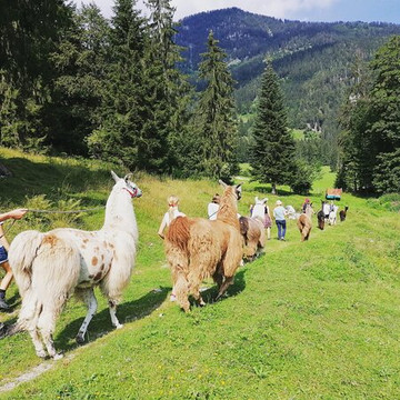 Jodlerhof-Schwendt必去景点