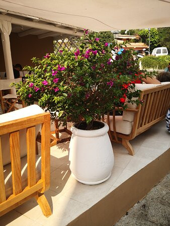 Harry's Bar-Porto Rafael必去景点