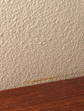 Days Inn by Wyndham Americus主图