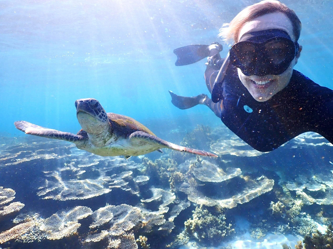Swan Dive Busselton-巴瑟尔顿必去景点