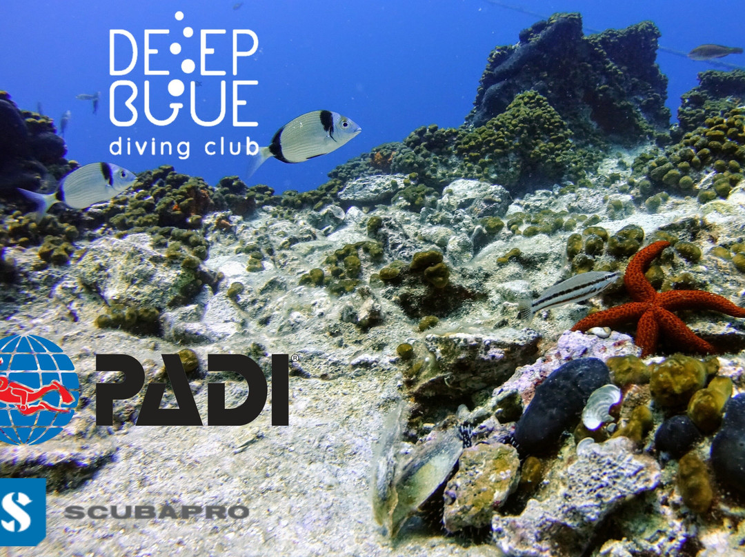 Deep Blue Diving Club景点图片