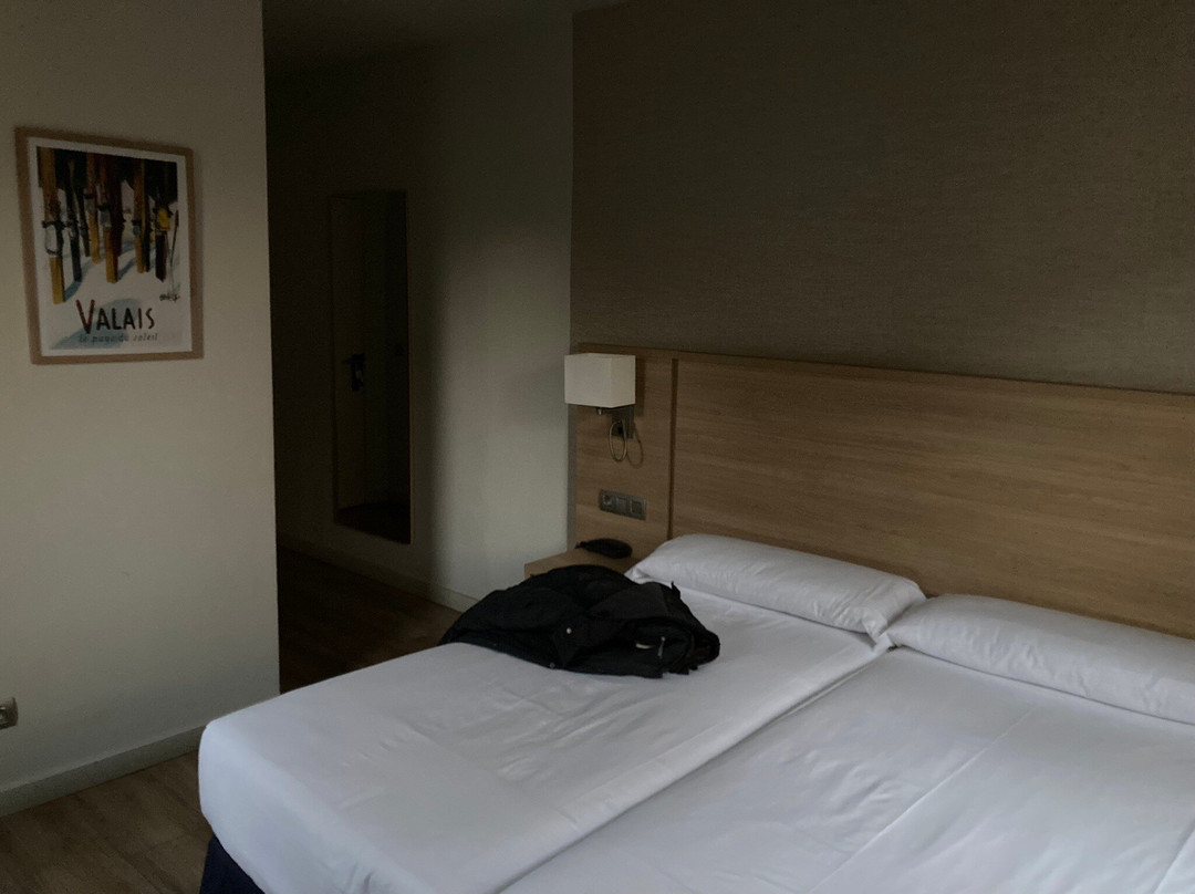 Hotel Terminus Puigcerda