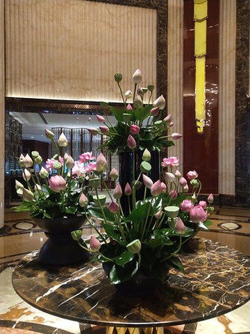 成都科华明宇豪雅饭店主图