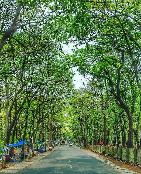 Nilambur Manor主图