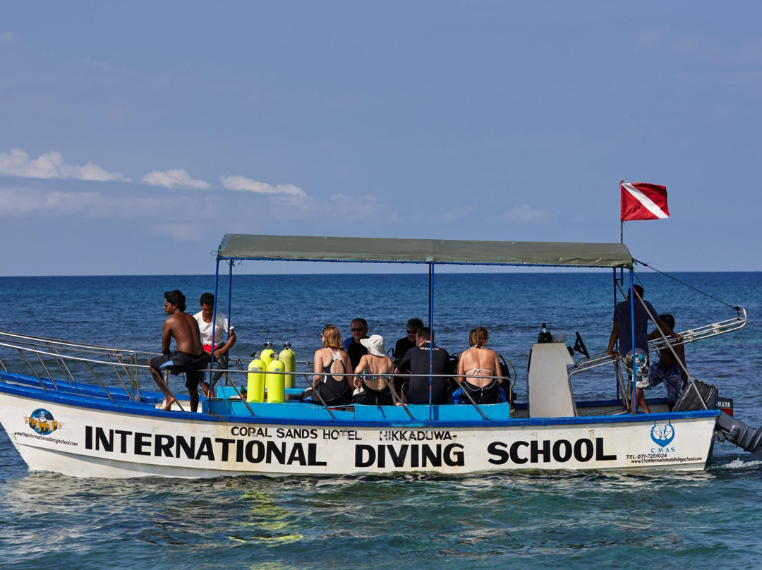 International Diving School景点图片