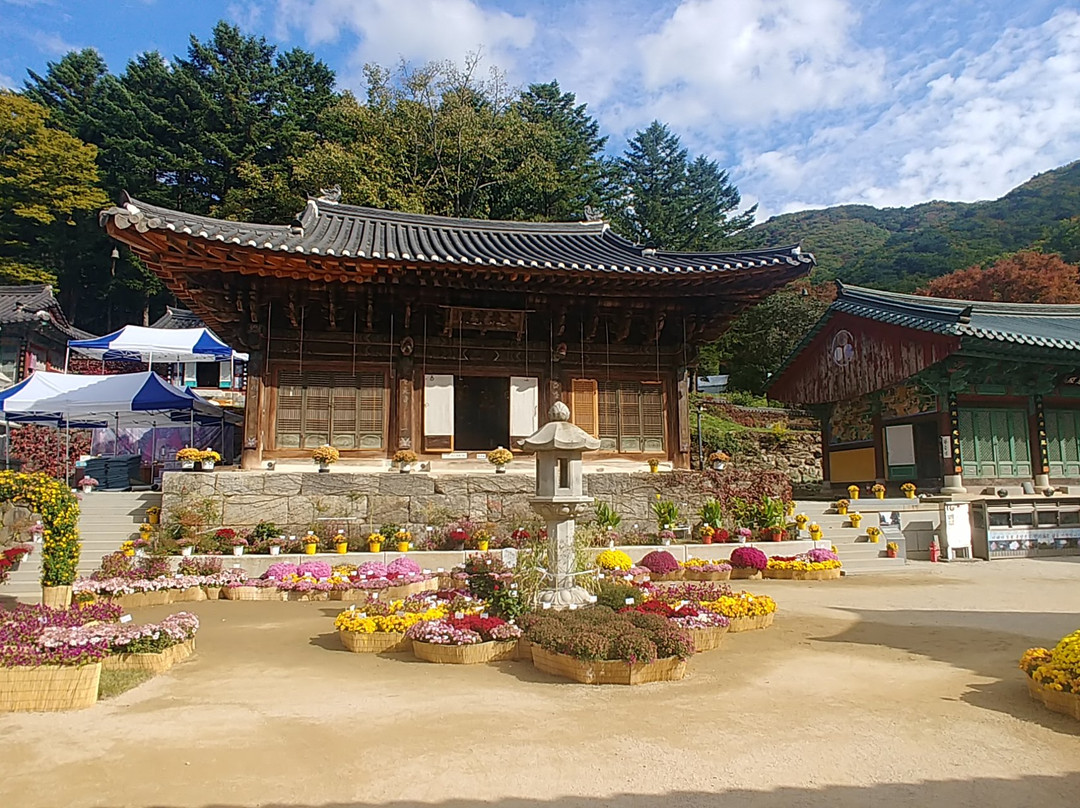 Bogwangsa Temple景点图片