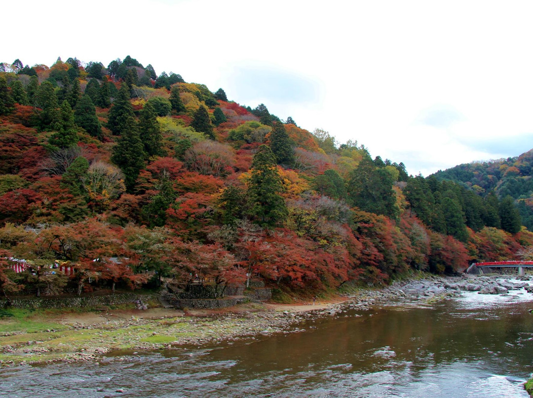 Mt. Iimori景点图片