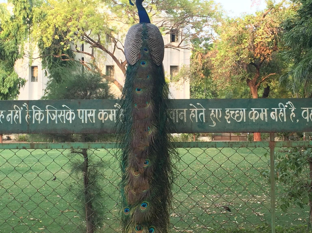 Gujarat Vidyapith景点图片