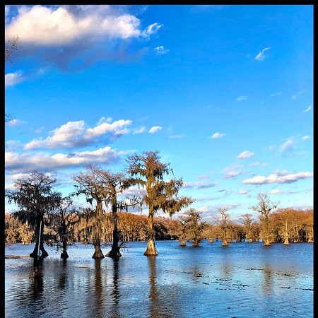 Caddo Lake Tours and Canoe Rentals-Uncertain必去景点