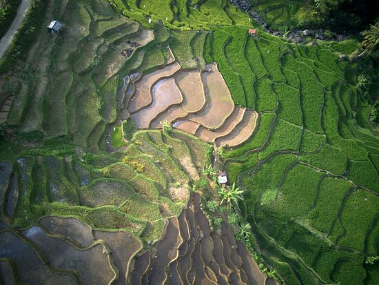 Javajivi Backpacker-牙律必去景点