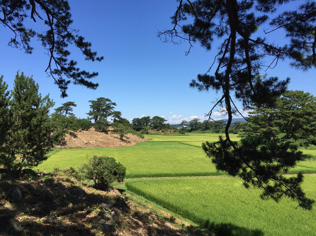 仁贺保市旅游攻略图片