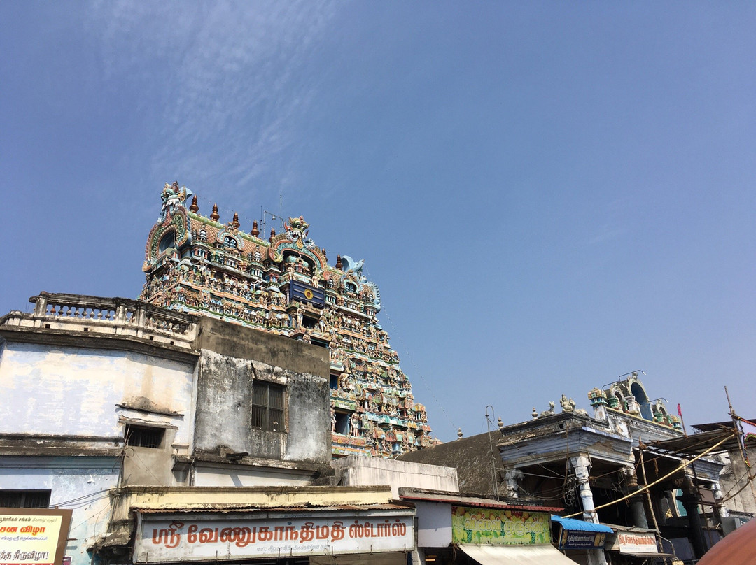 Arulmigu Nellaiappar Temple景点图片