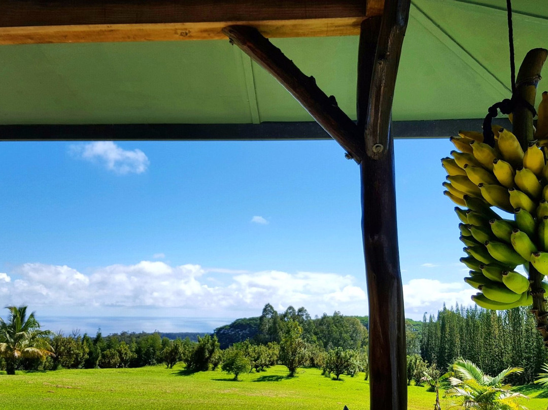 Big Island BnB