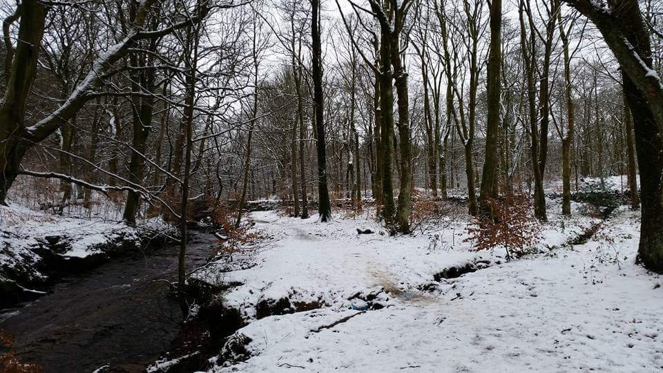 Darwen旅游攻略图片