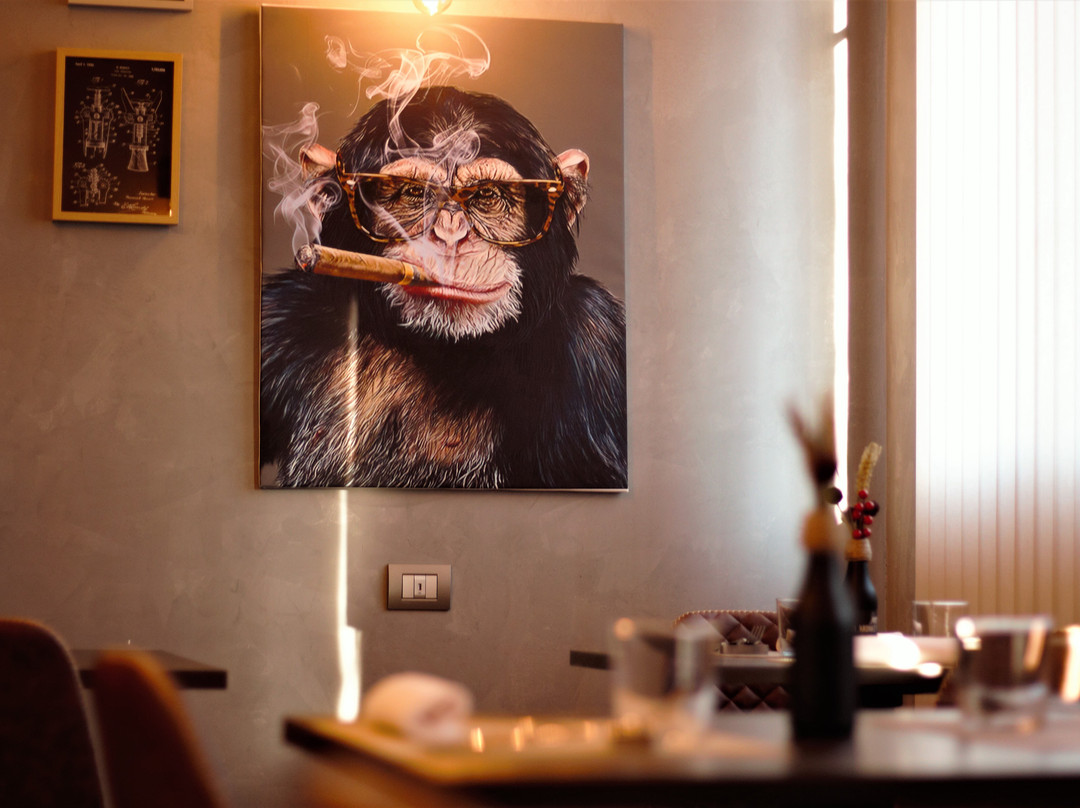 Mr. Monkey