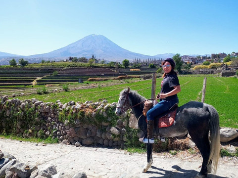 AREQUIPA EXPLORER