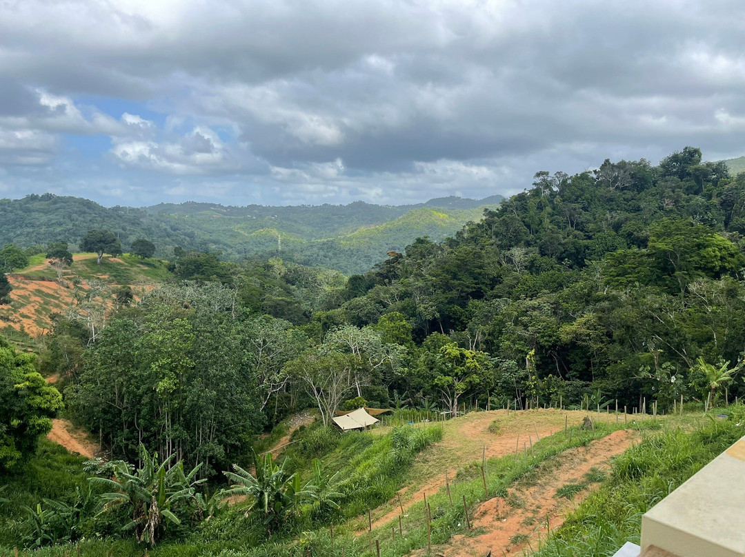 Finca Vista Bella景点图片