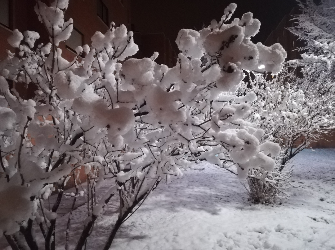 Yepes旅游攻略图片