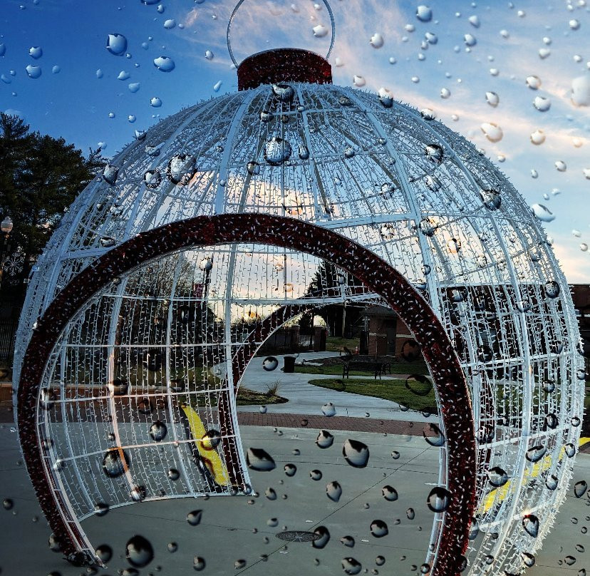 Forest City Pavilion On Park Square景点图片