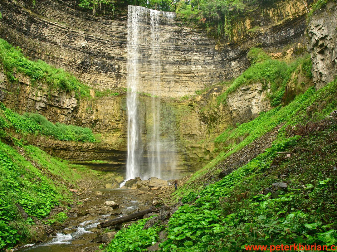 Waterfalls of Hamilton景点图片
