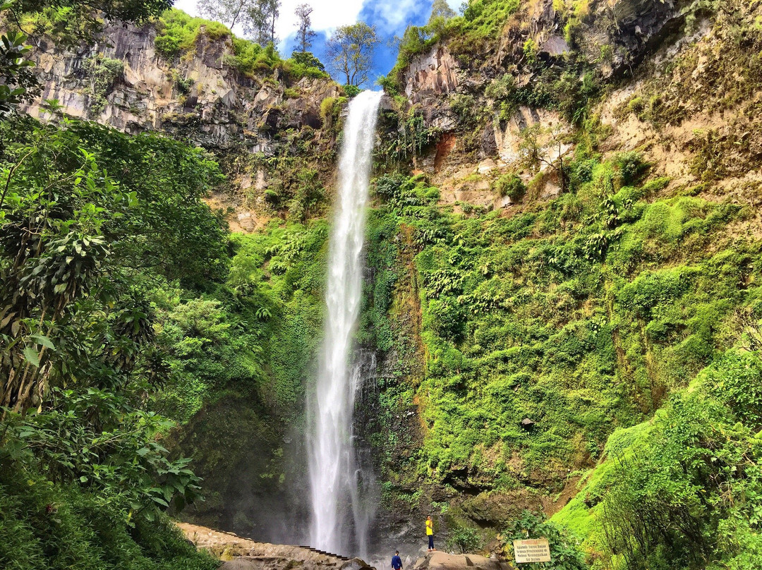 Coban Rondo Waterfall景点图片