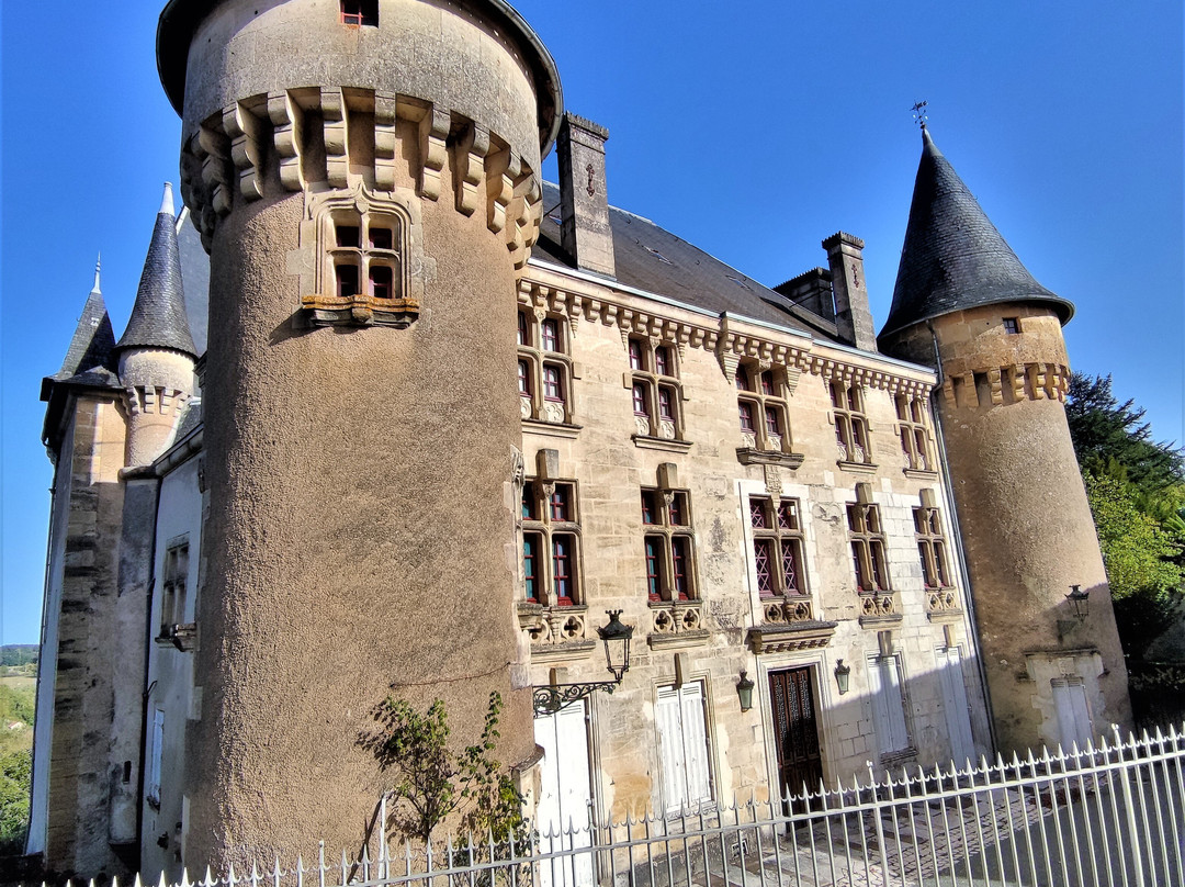 Château de Vaucocour景点图片