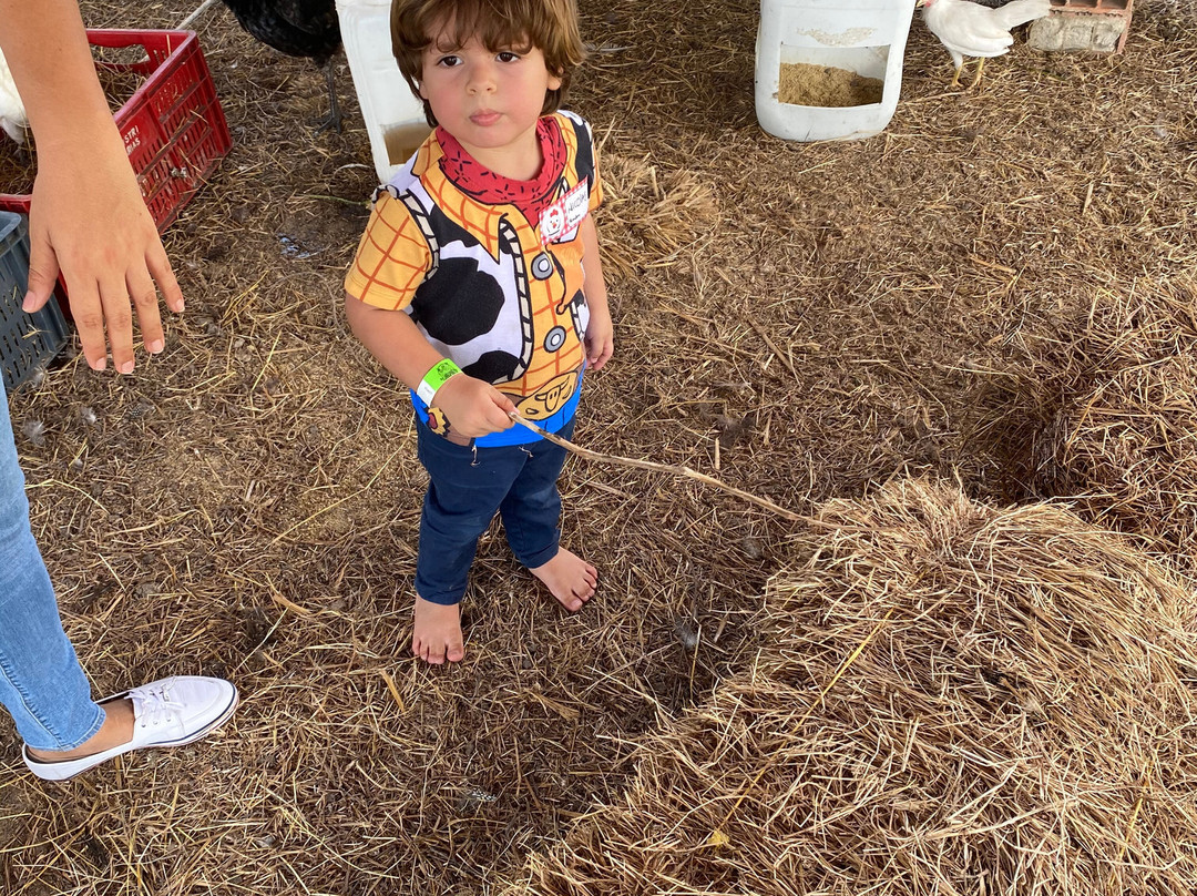 La Granja Del Abuelo Elías-Malagana必去景点