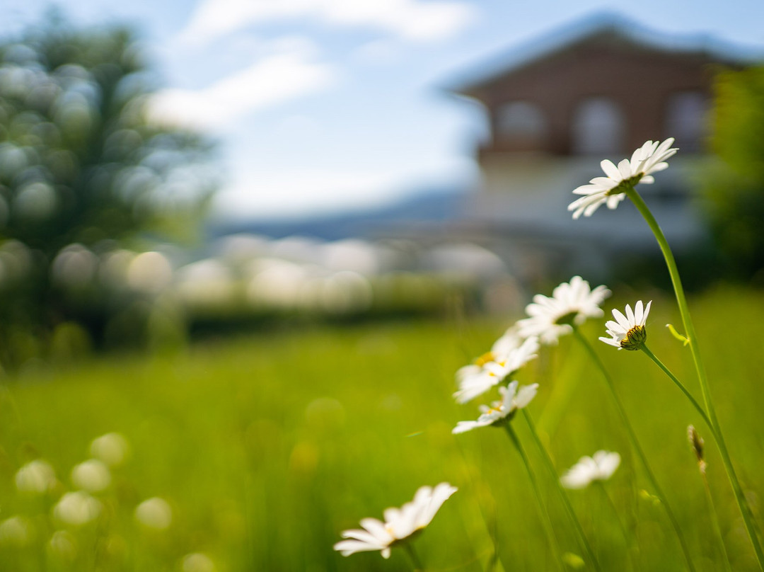 Thula Wellnesshotel Bayerischer Wald主图