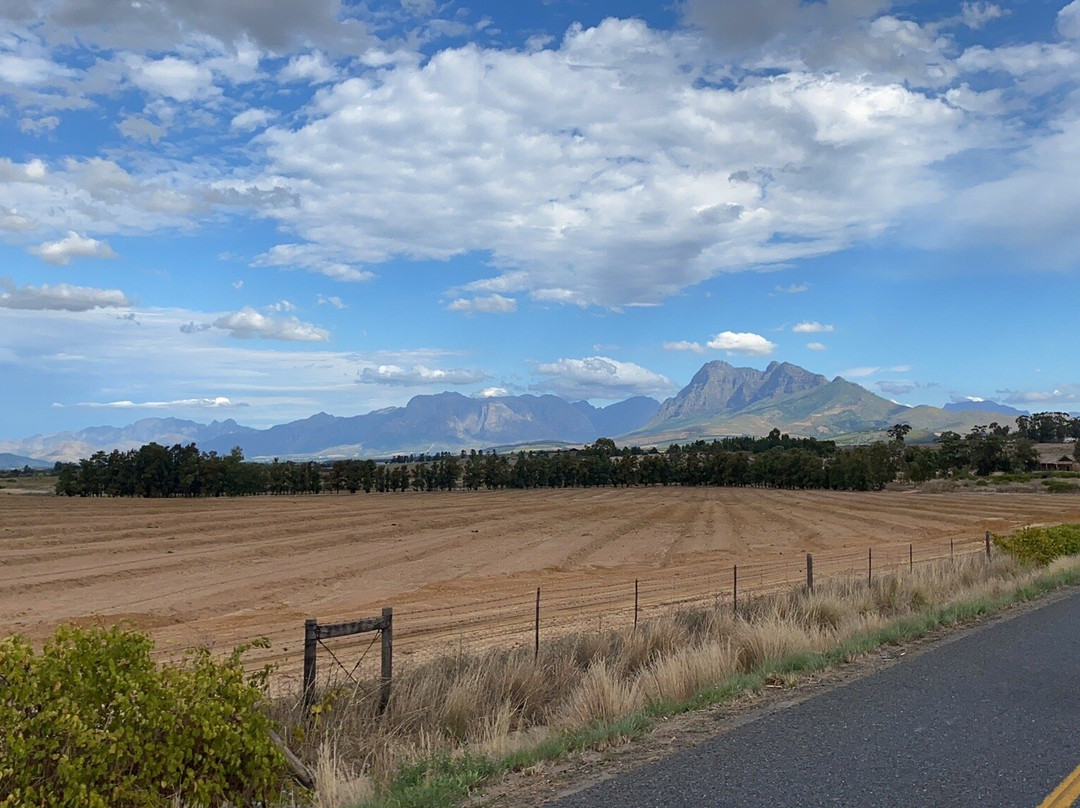 Arra Vineyards-Klapmuts必去景点