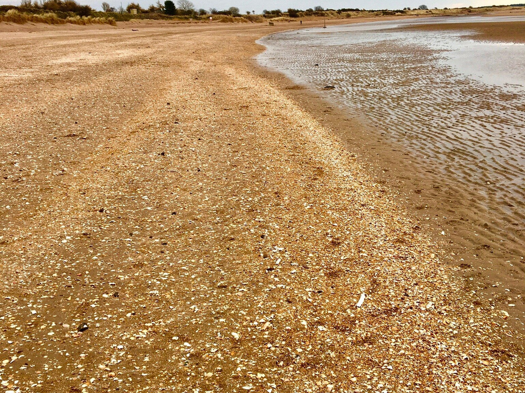 Monifieth Beach-Monifieth必去景点