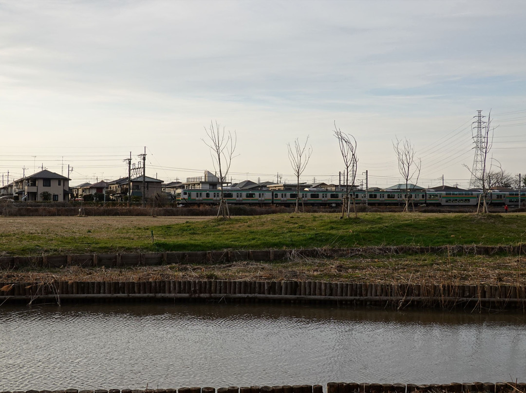 Kurohama Kaizuka Mound-莲田市必去景点