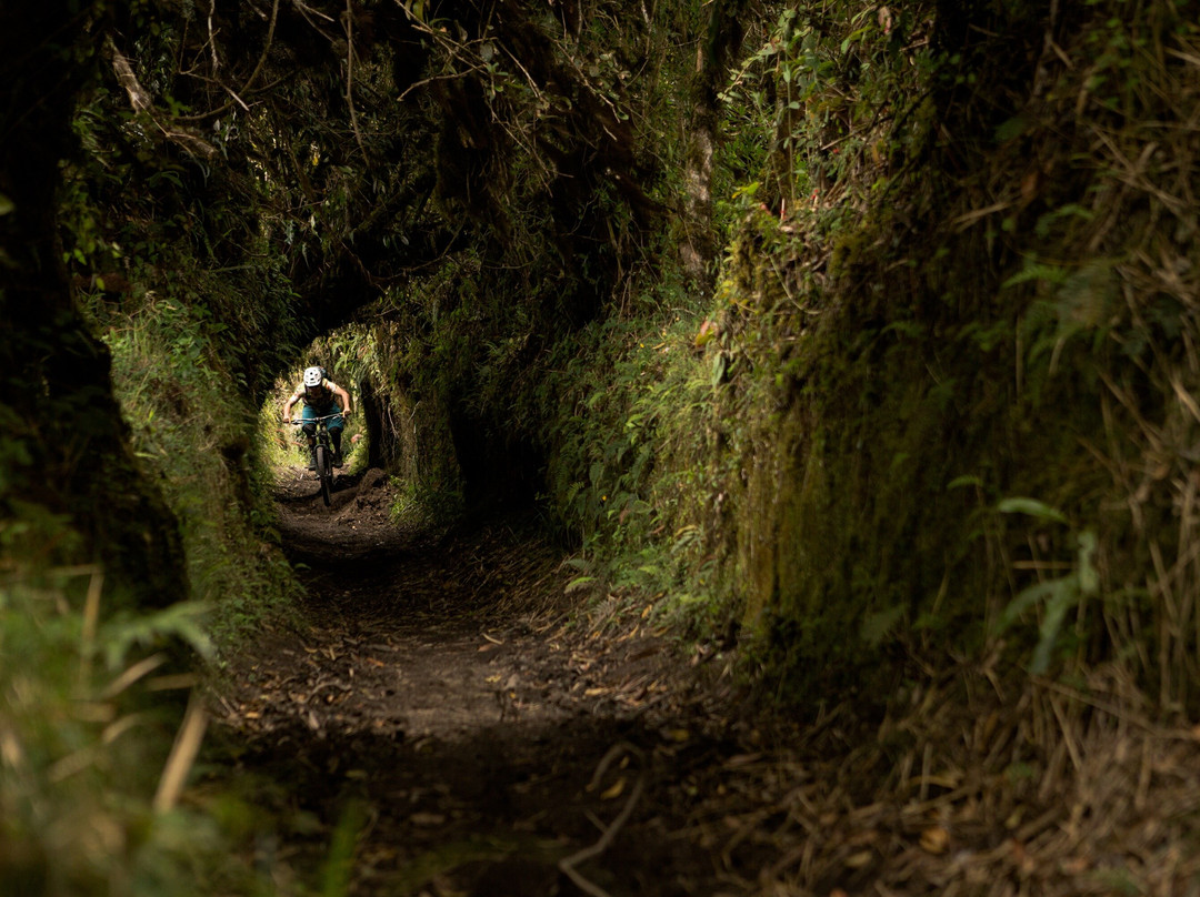 2Wheel Epix-森瓦利必去景点