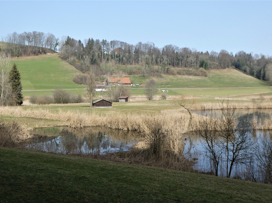 Weiherlandschaft Ostergau-Willisau必去景点