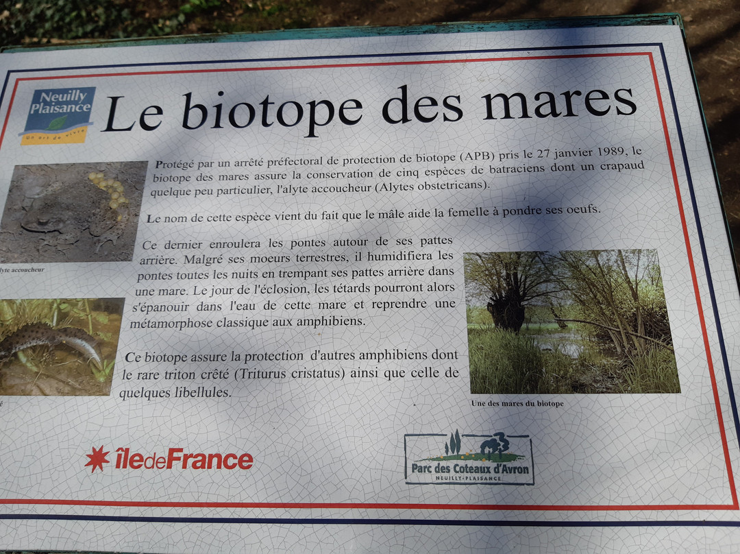 Parc des Coteaux d'Avron-讷伊普莱桑斯必去景点