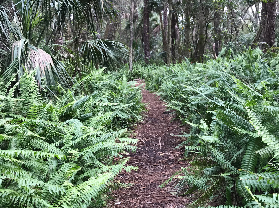 Caloosahatchee Creeks Preserve East-North Fort Myers必去景点