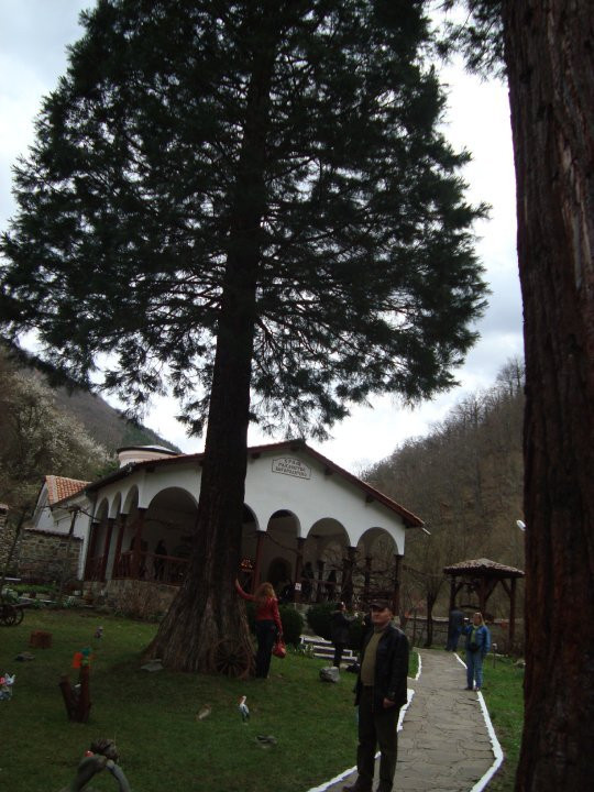 The Seven Thrones Monastery-Svoge必去景点
