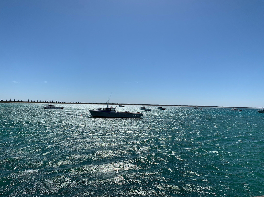 Beachport Jetty景点图片