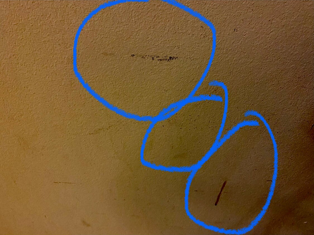 埃文斯顿希尔顿恒庭酒店主图